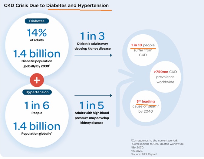 The Chronic Kidney Disease Crisis